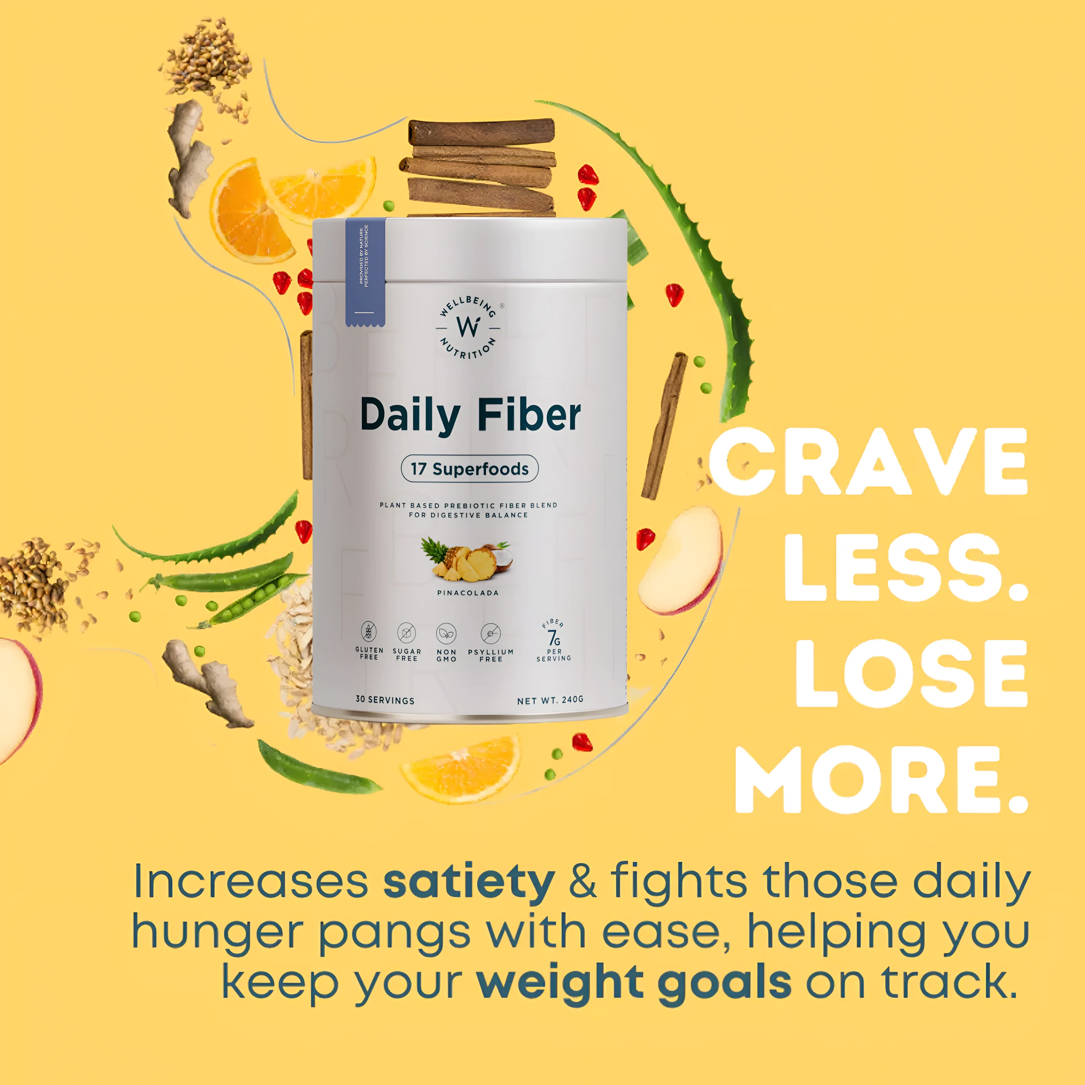 Well Being Nutrition DAILY FIBER 30 Serving’s  view 2